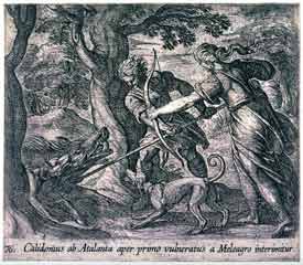 Antonio Tempesta - Calidonius ab Atalanta aper primo vulneratus a Meleagro interimitur Antonio Tempesta - Calidonius ab Atalanta aper primo vulneratus a Meleagro interimitur