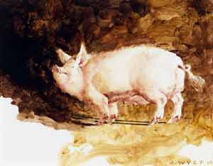 James Wyeth - Pig James Wyeth - Pig